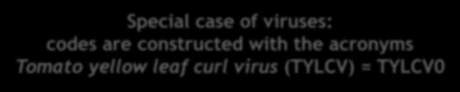 of viruses: codes are constructed with