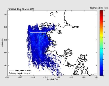 next 3 days of phytoplankton found along the presented transects i.e. white lines off Aughrus Point and the Mouth of Killary Harbour, and water depths (bottom, 20 metres and surface) Bottom water