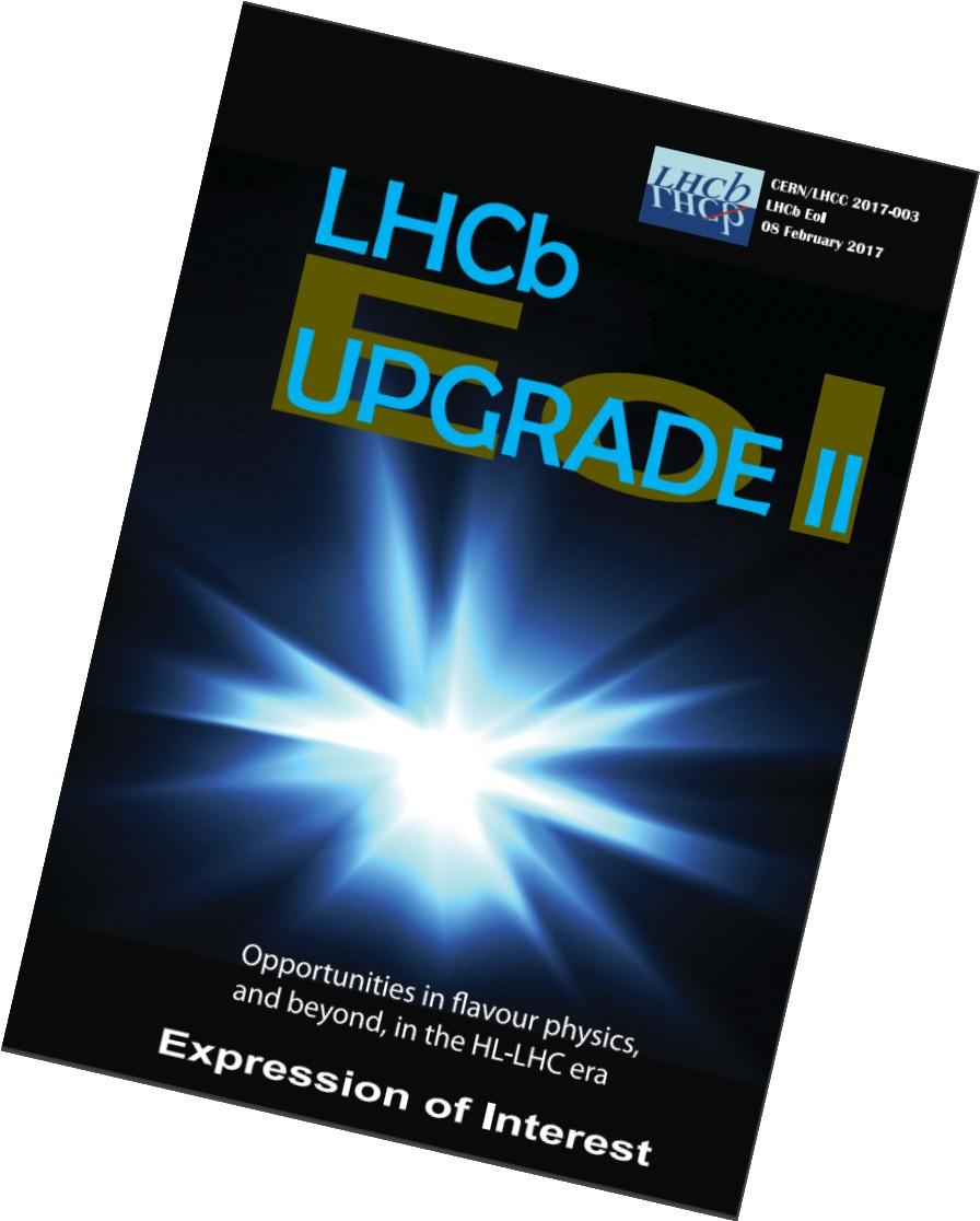 Physics opportunities with an upgraded LHCb detector in the HL-LHC