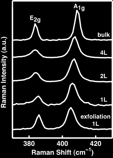 Also given are the Raman spectra of exfoliated MoS 2 monolayer and