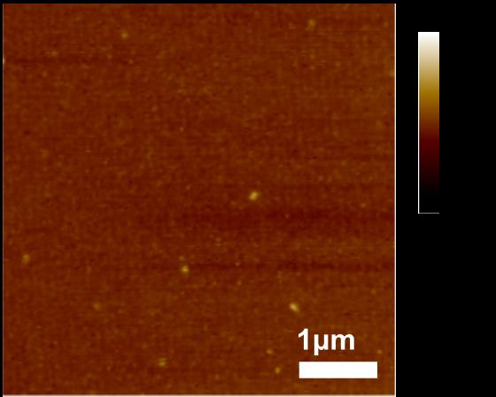 Fig. S7. Topview of the AFM image given in Figu