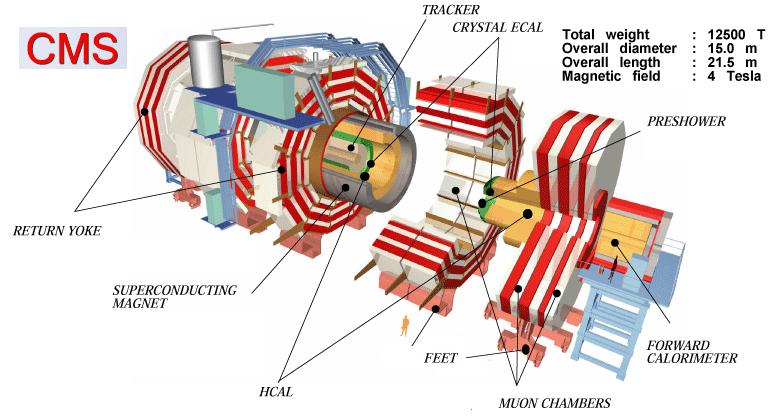 The Compact Muon