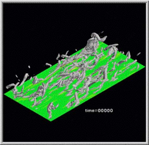 Mass transfer in turbulent boundary layers y +