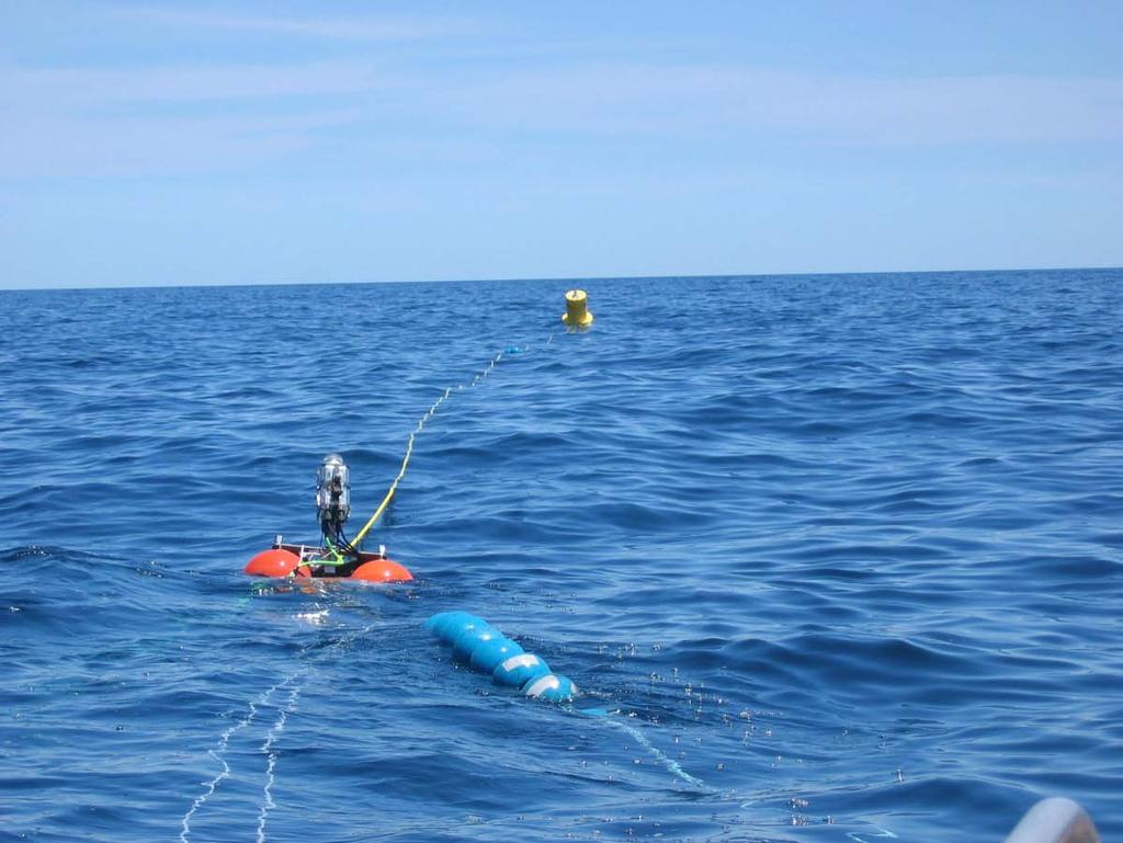 Figure 5. PIMMS mooring deployed off NJ in July 2007 showing the surface floats (blue), battery buoy (orange), and mooring buoy (yellow).