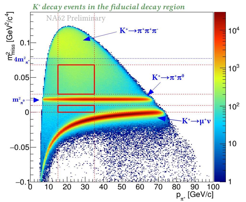 Signal Selection πνν selection: K + Decay Event Fiducial Decay Region Particle ID: π + Photon rejection Multiple charged particle rejection Kinematic Selection