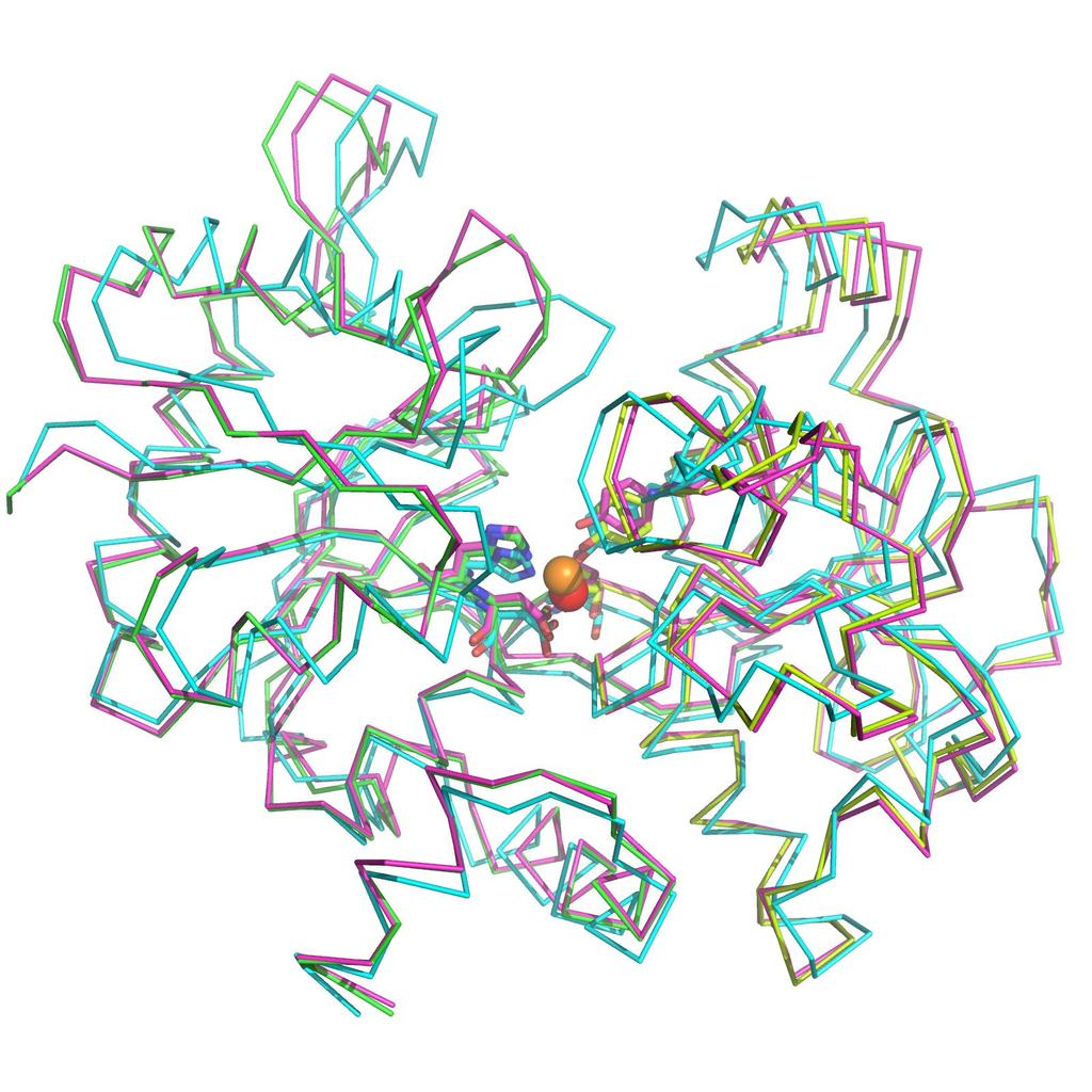 Figure S2 Superimposition of the fully-closed C-lobes of Bi N Fe C -htf (cyan, bound to Fe III and a bicarbonate in its C-lobe) and Yb C -htf (pink) onto Fe C -htf (green). (rmsd 1.612 and 0.