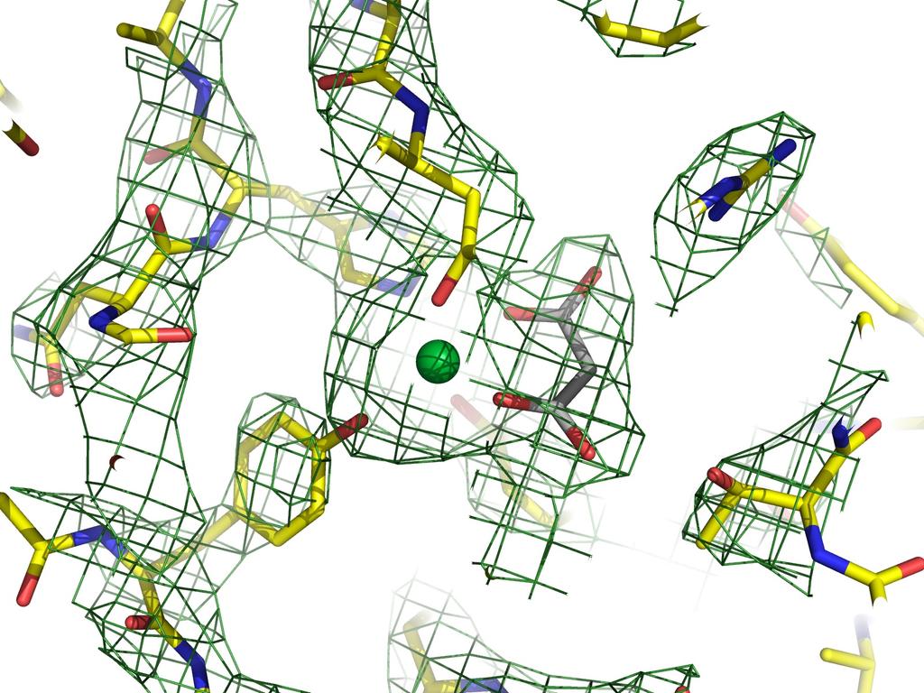 Figure S6 The 2Fo-Fc map contoured at 3.0σ (shown as mesh) near the metal-binding pocket of Yb C -htf (molecule 1). References 1. L. Yuan, P. Du, K. Wang and X. G. Yang, J. Biol. Inorg. Chem.