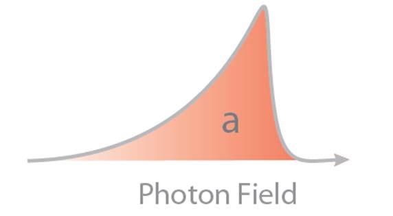 Microwave Photon Field Detection in the