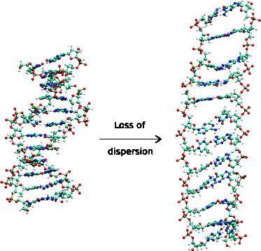 DNA with and without dispersion interaction Černý, J., Kabeláč, M.