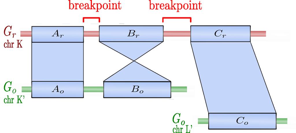 Breakpoint refinement The