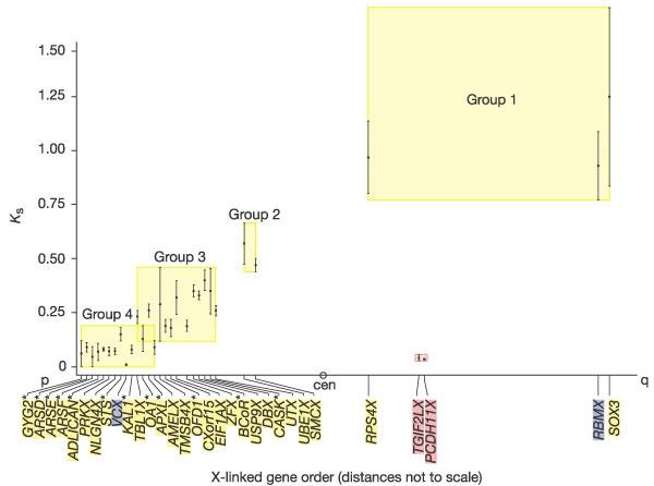 Human X-Y divergence stair-shape of the divergence between X-Y genes along X =>