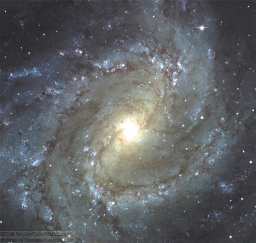 Bar Ring 55 56 Star Formation in Spiral Arms (II) Spiral arms are basically stationary shock