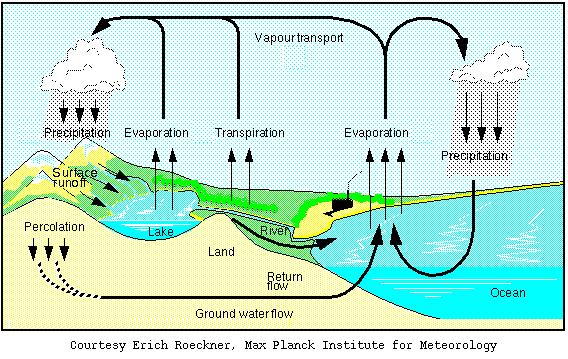 6 The Water Cycle What is missing from the diagram below?