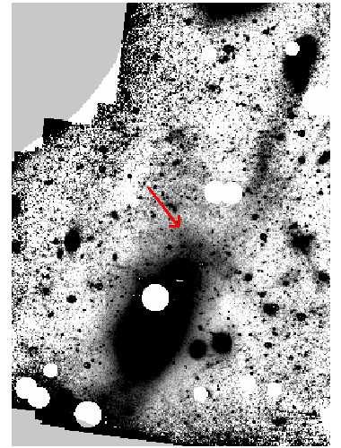 Chevron Spatial distribution and M87 surface brightness: The Crown of M87
