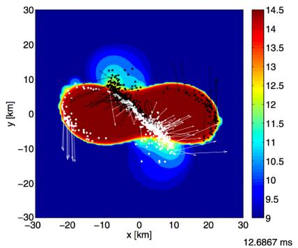 dynamical t ~ milliseconds S. Rosswog tidal tail ejecta M ~ 10-4 - 10-2 Msun v ~ 0.2c - 0.3c very neutron rich, Ye 0.1 squeezed polar ejecta M ~ 10-4 - 10-2 Msun v ~ 0.2c - 0.3c less neutron rich Ye 0.