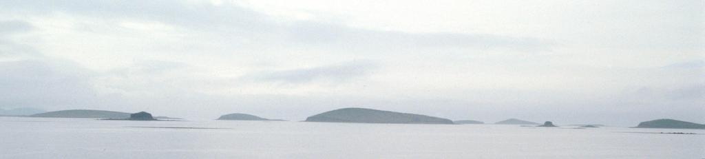 bay and also within the bay as islands (figure 4.7.2). They are found mostly on the limestone and below 70m a.s.l. (Hanvey, 1992).