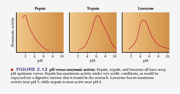 Enzyme activity and ph