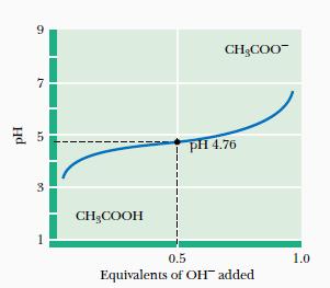 Titration curves CH 3 COOH + OH - CH 3 COO - + H 2 O In the region small ph changes upon addition of acid or base, the acid/base ratio varies within a narrow range (10:1 at one end