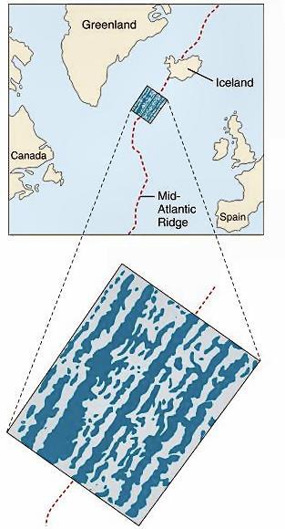 trenches New seafloor material is originated at the ridges B.