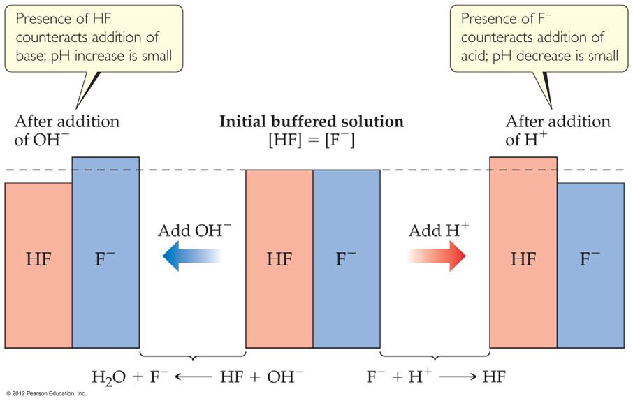 Buffers If a small amount of hydroxide is added to an equimolar solution of HF in NaF,