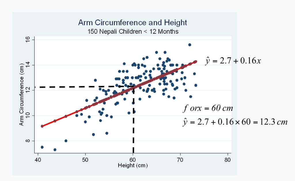 Example: Arm Circumference and Height Estimated