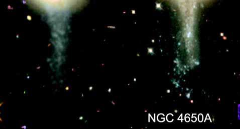 Brook et al (2008) showed that polar disk galaxies can