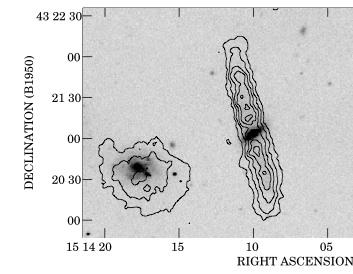 Results Tidal versus Cold accretion UGC 9796 The low metallicity, even lower than those observed in the outskirts of spiral galaxies, and SFR estimates are consistent with a cold