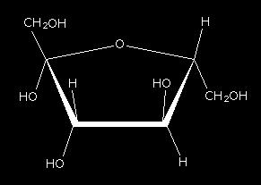 Carbohydrates Structure: made of carbon, hydrogen, and oxygen atoms bonded together in different ratios Major jobs in