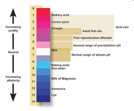 ph Scale Each change of one ph unit reflects a 10-fold change in the acidity or alkalinity of