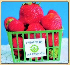 36 Food Irradiation Food can be irradiated with rays from 60 Co or 137 Cs.