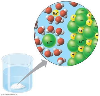 Water s Versatility as a Solvent Water is a versatile solvent due to its polarity, which allows it to form hydrogen bonds easily.