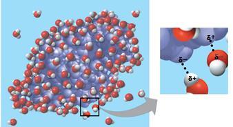 Water s Versatility as a Solvent Water can also dissolve compounds made of nonionic polar molecules