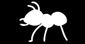 Speed Practice Problem 4 An ant can travel approximately 30 meters per minute. How many meters could an ant move in 45 minutes?