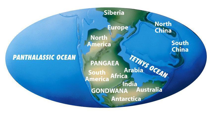 (ONE PICTURE) Last Supercontinent Question #15 What Was The Last Supercontinent? The last supercontinent was called Pangaea.