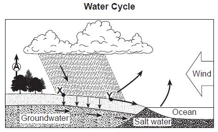 93. Base your answer to the following question on the diagram of the water cycle below. Letter A represents a process in the water cycle. Points X and Y represent locations on Earth's surface.