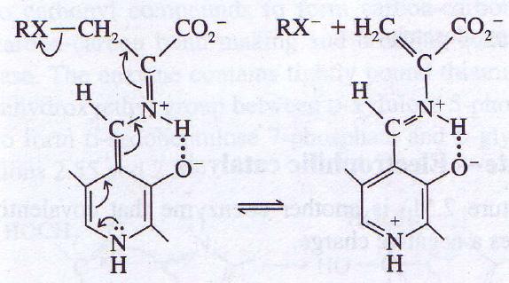 Chemistry with pyridoxal schiff base 3.