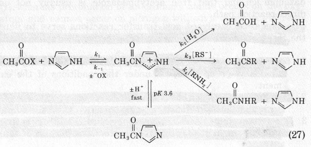 Nucleophilic Catalysis by Imidazole 1. 3 amines are more reactive than H - in nucleophilic attacks. 2.