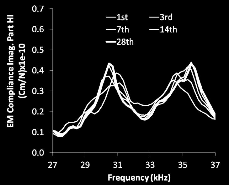 frequency range 27-7 khz, that correspond to the dynamic response of a 28 days age