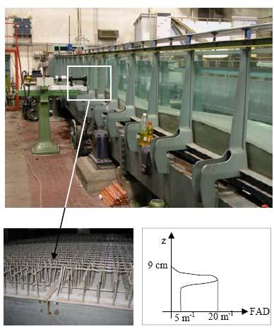 Polytechnic of Turin (IT) Flume Experiments for Momentum Hill Properties: Four hill modules Hill Height (H) = 0.08 m Hill Half Length (L) = 0.
