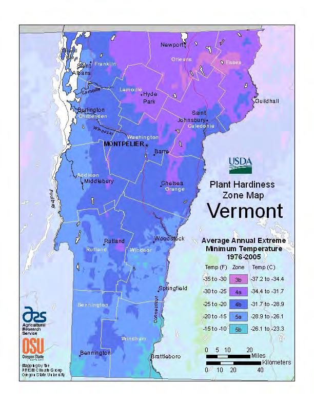 Detailed Map (most recent) VT Hardiness Zone Map 1976-2005 mean 1990 South now zone 6 Half-zone in 16 yrs = 3.