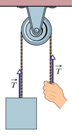 While an observer standing next to the conveyer belt sees the box move to the right and eventually reach a constant speed (same as the conveyer belt), an observer standing on the conveyer belt would