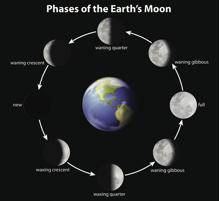 The Moon The Moon is the Earth s only natural satellite. A natural satellite is a celestial body that orbits a planet. It is the fifth largest moon in the Solar System.