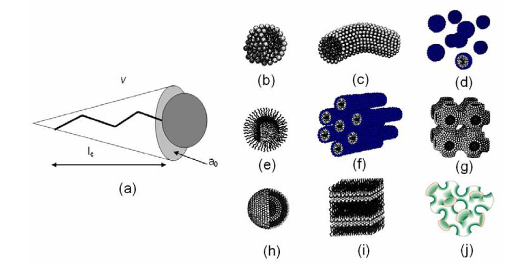 Various surfactant phases (a) An amphiphilic molecule (b) Spherical micelle (c) Cylindrical micelle (d) Cubic phase