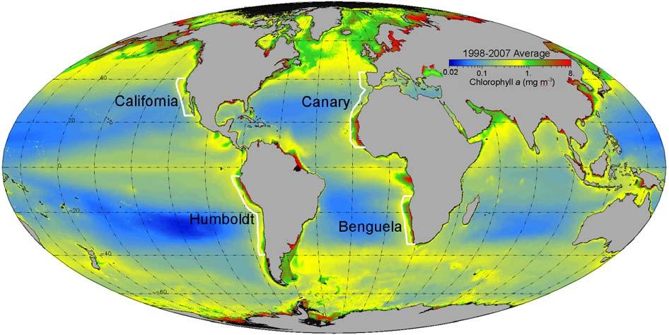 The South east Arabian Sea is one of world s major upwelling zones and one of the most productive regions of the world s oceans Has a strong seasonal