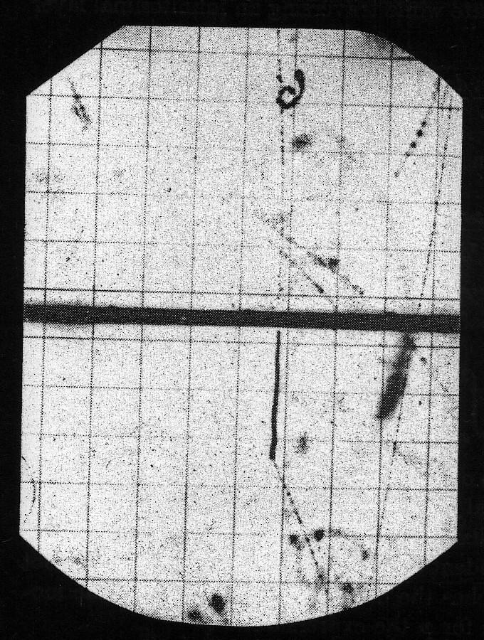 Muon decay µ ± à e ± + ν + ν Decay electron momentum distribution Cosmic ray muon stopping in a cloud chamber and decaying to an electron m Muon spin = ½ Muon lifetime at rest: t µ =.197 x 10-6 s ->.