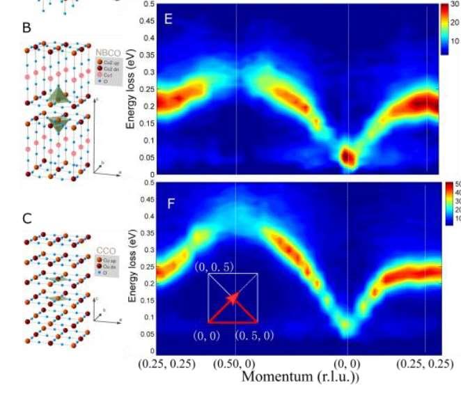ERIXS at ESRF: full maps of magnons The detailed maps of spin excitations reveal why different families