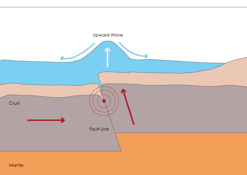 NCEA Level 2 Earth and Space Science (91191) 2015 page 2 of 6 http://www.n-d-a.org/images/tsunami-diagram.jpg Kaikoura is an area with active faulting capable of producing large earthquakes.