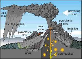 NCEA Level 2 Earth and Space Science (91191) 2015 page 4 of 6 http://worldlywise.pbworks.com/f/1272808249/volcanichazards.jpg Characteristics Lava may be produced after the initial gases and ash.