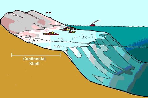Continental shelf The flat part of a continental margin that is covered by shallow area of