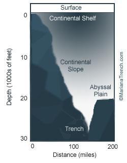 Trenches are the deepest parts of the ocean found along the edge of the ocean floor.